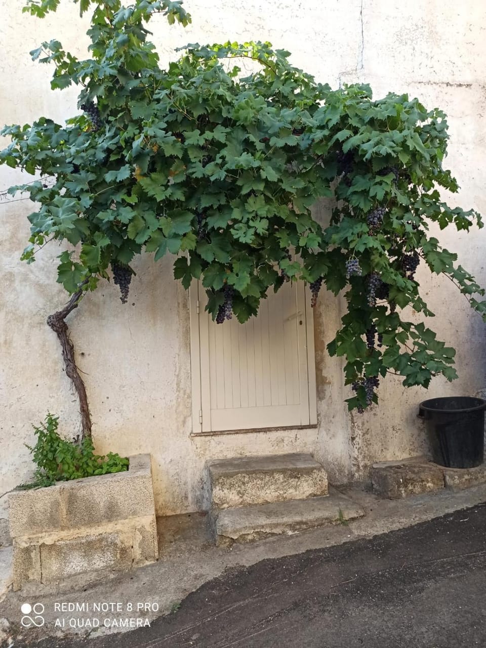 La dimora di Nella House in Apulia