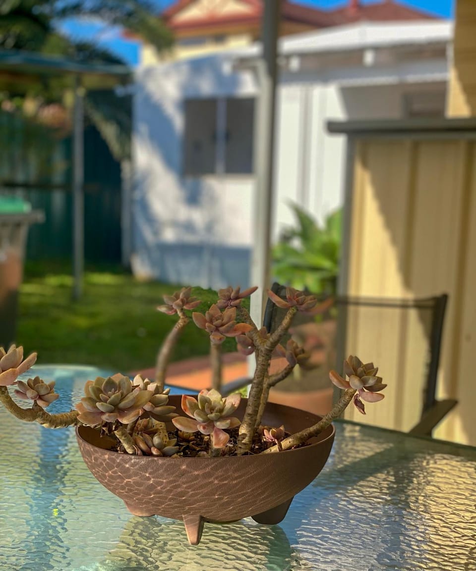 Patio, Garden