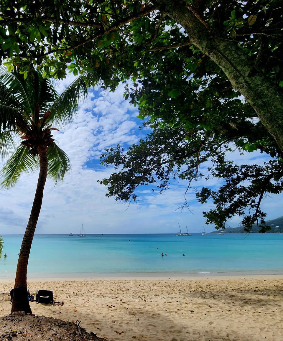 Natural landscape, Beach