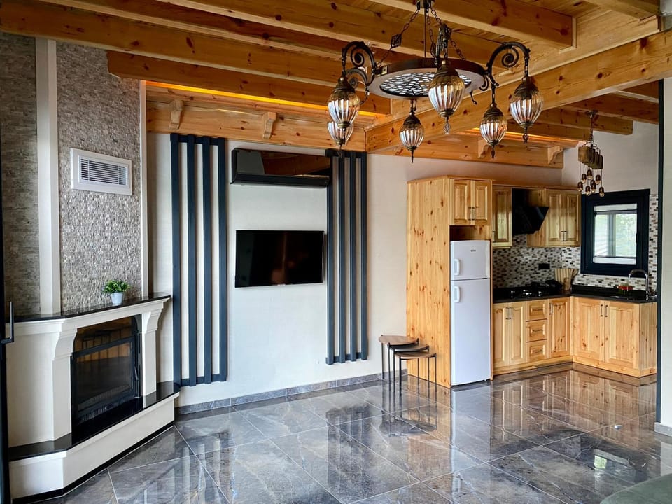 TV and multimedia, Kitchen or kitchenette, flat iron
