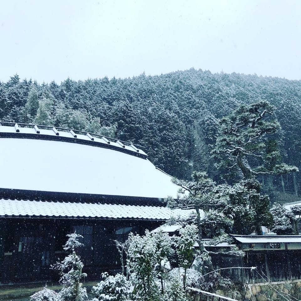 Winter