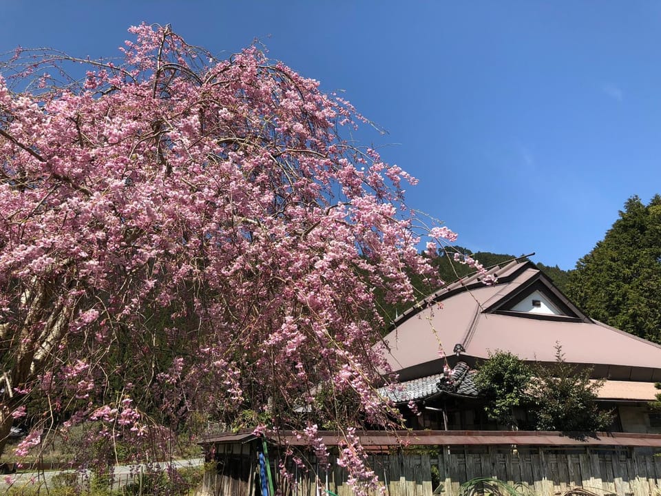 Spring