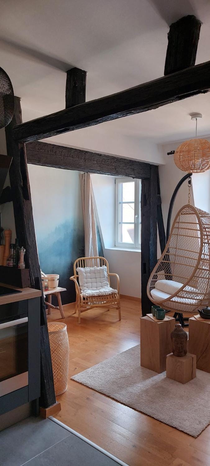 Appartement Le Verdoyant hyper centre avec Parking et Sauna Apartment in Colmar