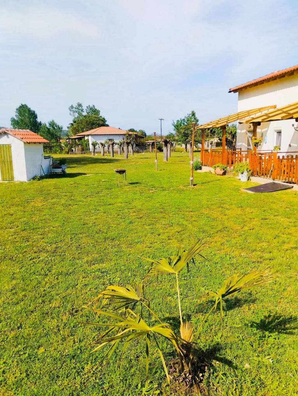 Property building, Spring, Day, Natural landscape, Garden, Garden view