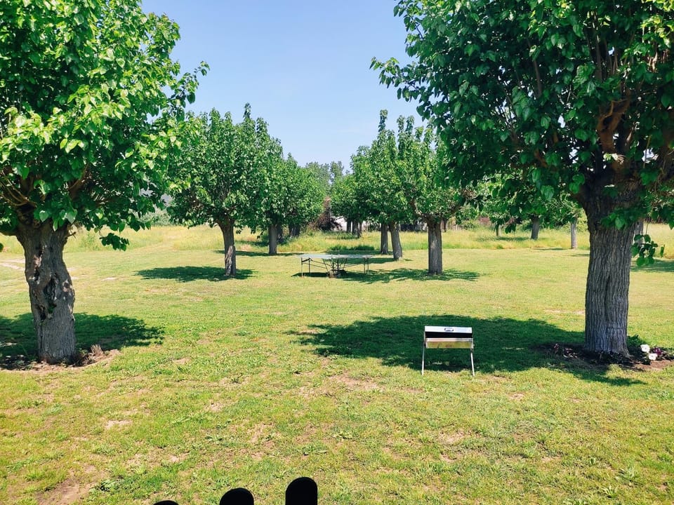 Garden, Table tennis, Garden view