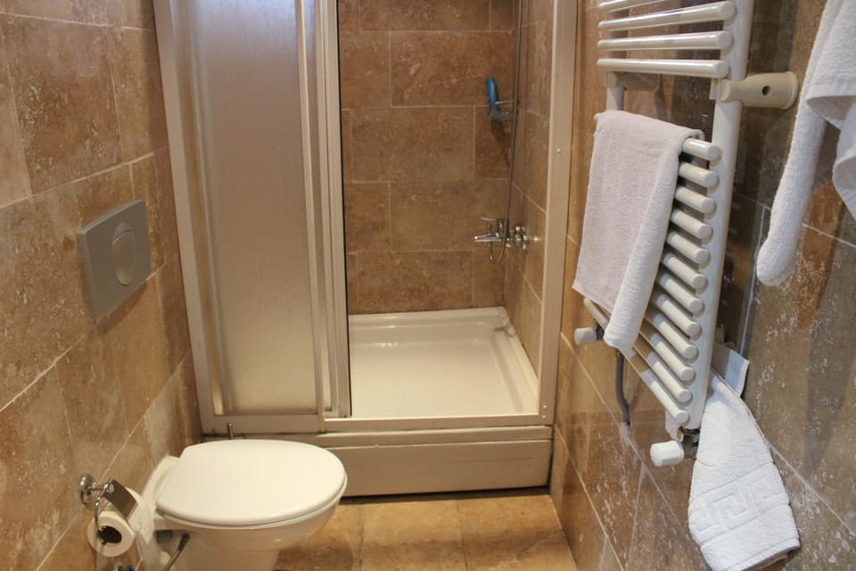 Shower, Toilet, Bathroom, towels