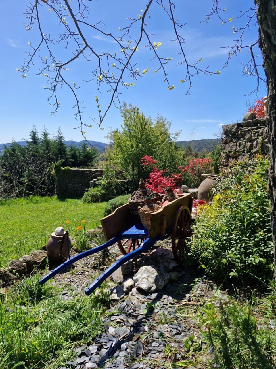 Mas Des Terrasses House in Auvergne-Rhône-Alpes