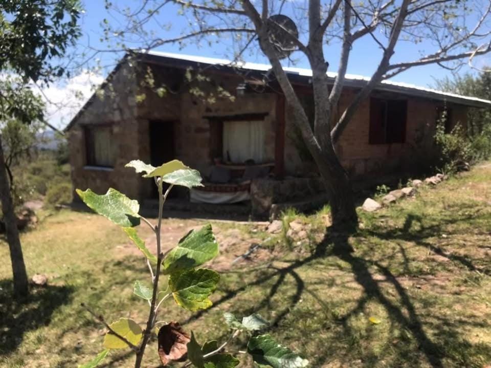 Property building, Day, Garden, Garden view