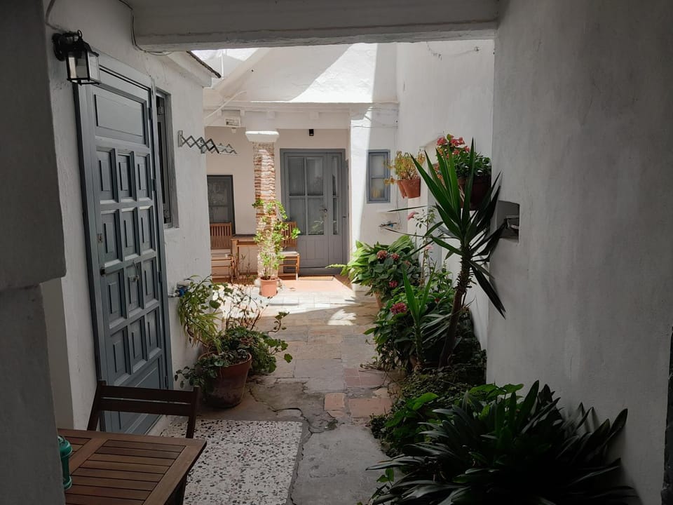 Garden view