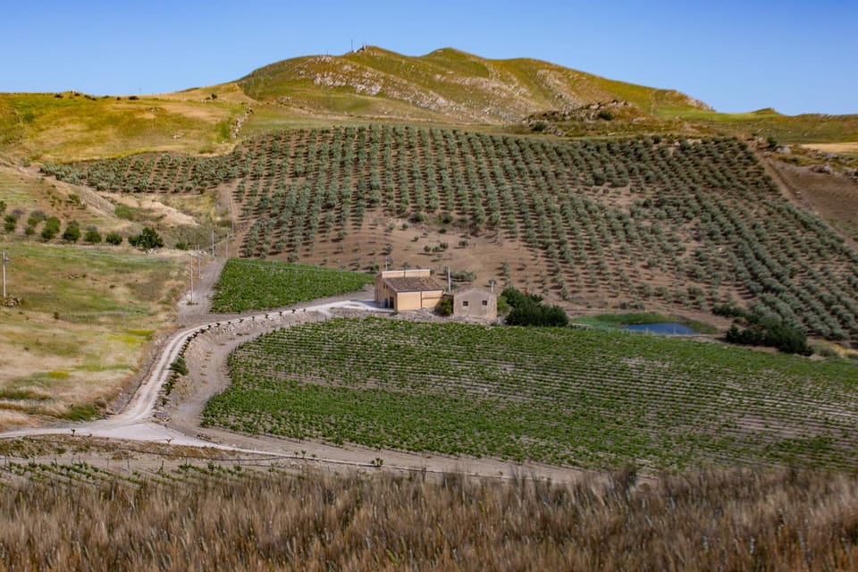 Casale Manca - Luxury Country House - The quiet with a sea view House in Sicily