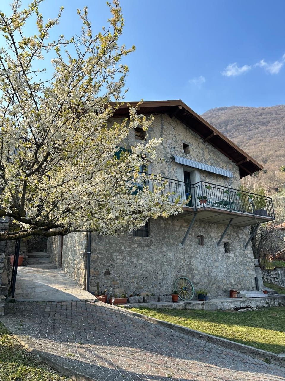 Spring, Garden view