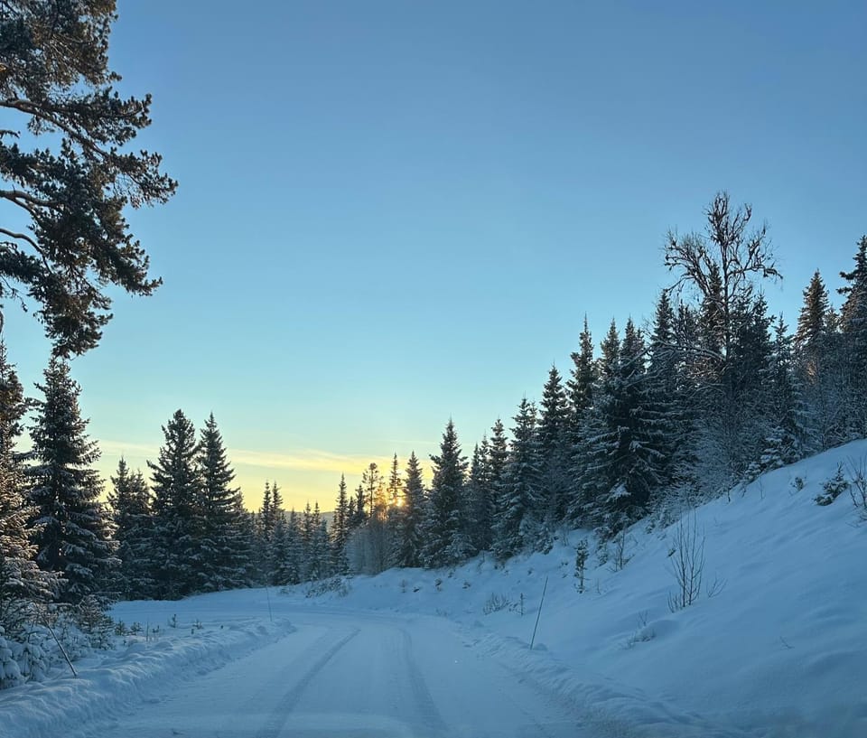 Winter