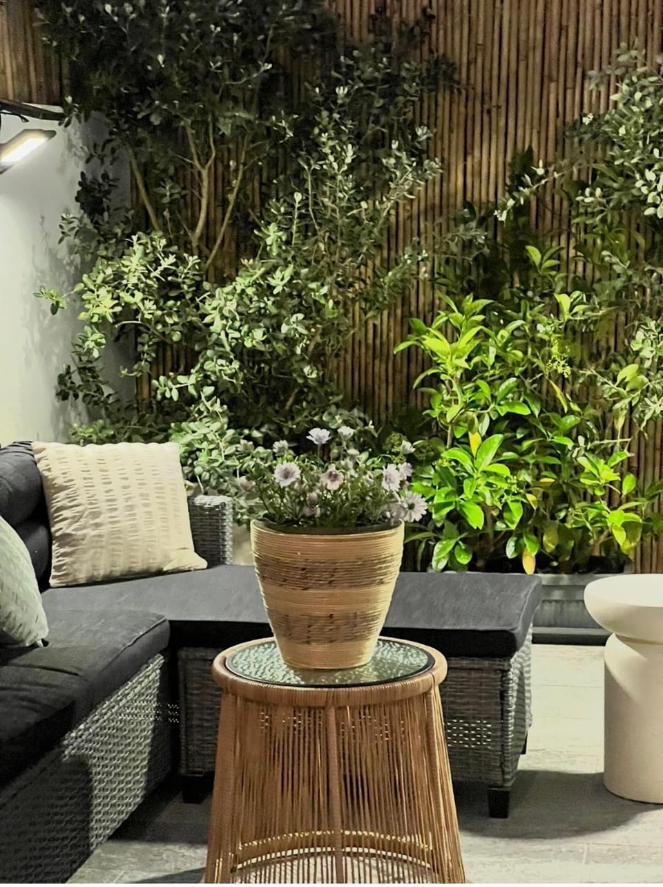 Miltonia Apartment Apartment in Corfu