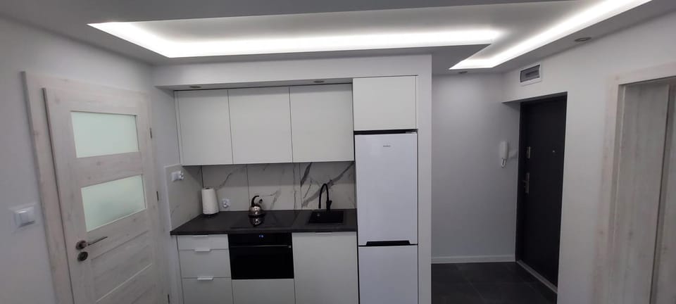 Apartament ESKA Apartment in Lithuania