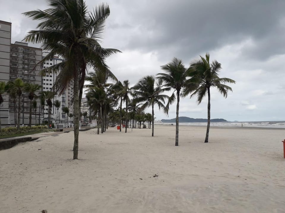 Apto Beira Mar Praia Mirin Apartment in State of São Paulo