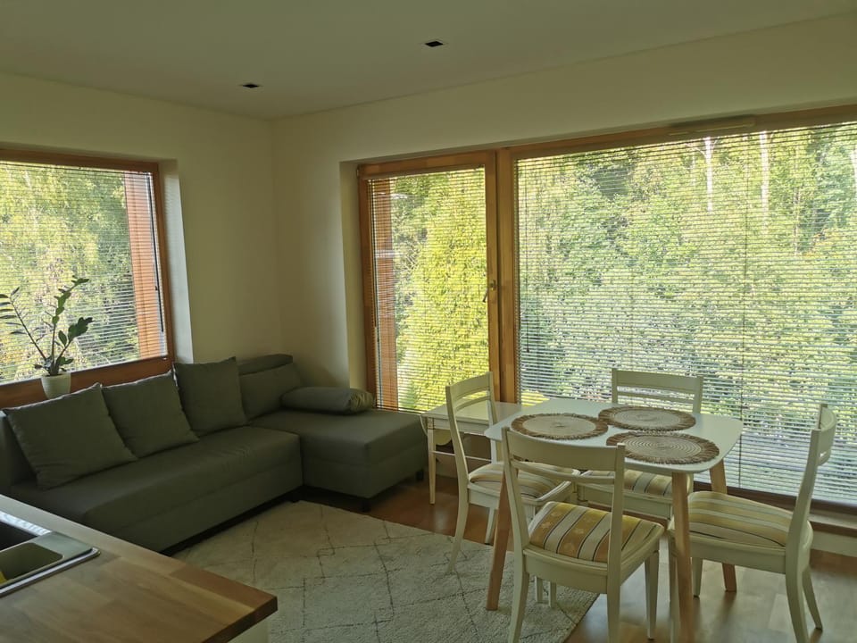 Living room, Seating area, Dining area