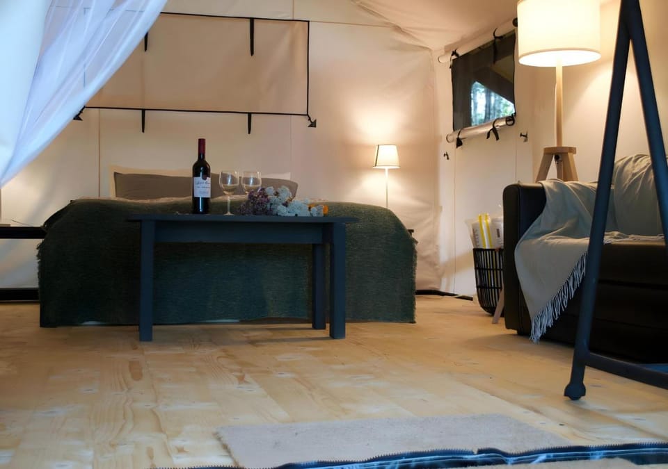 Bed, Photo of the whole room, Seating area, Bedroom