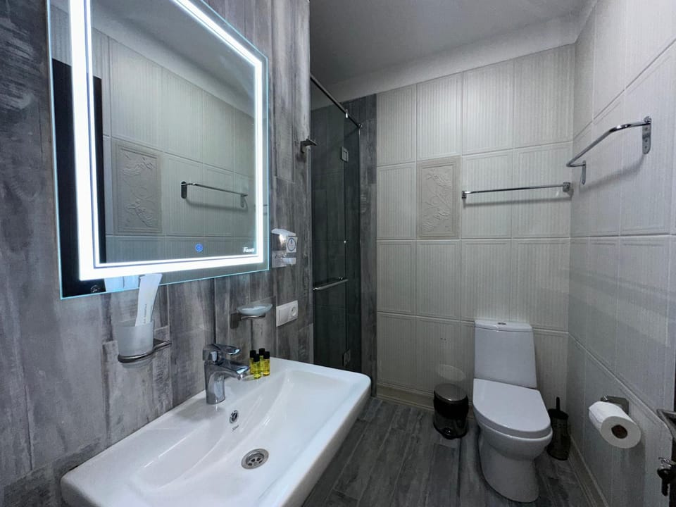 Shower, Toilet, Bathroom, Bath, towels