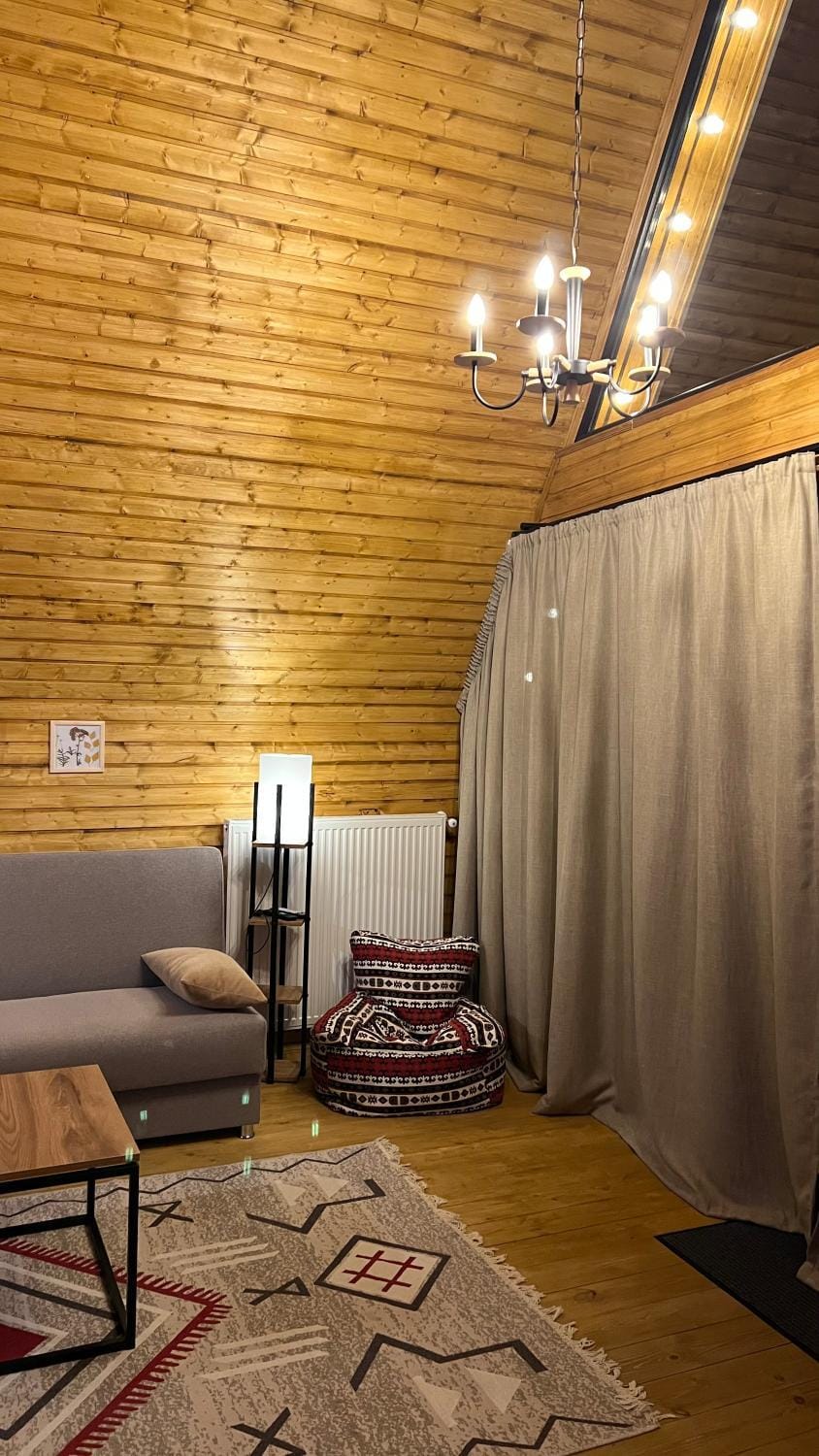 Living room, Photo of the whole room, Seating area