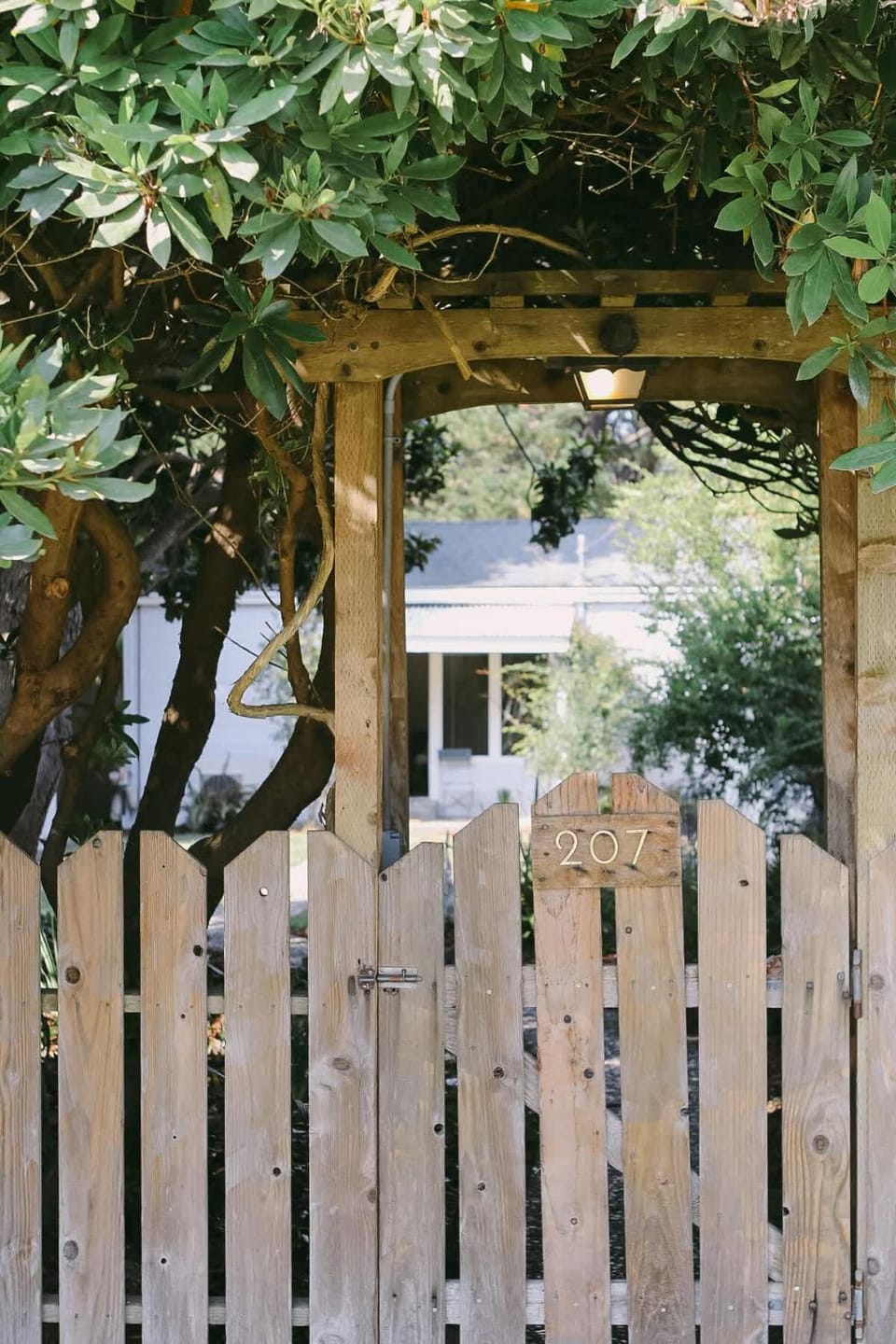Garden view