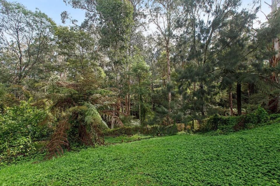 Private Holiday Home With Rain Forest Creek View House in Melbourne