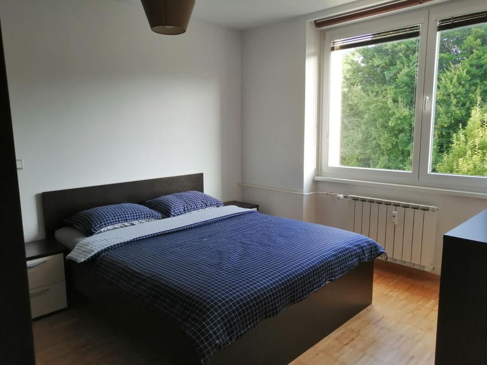 city center park view appartment Apartment in Slovenia