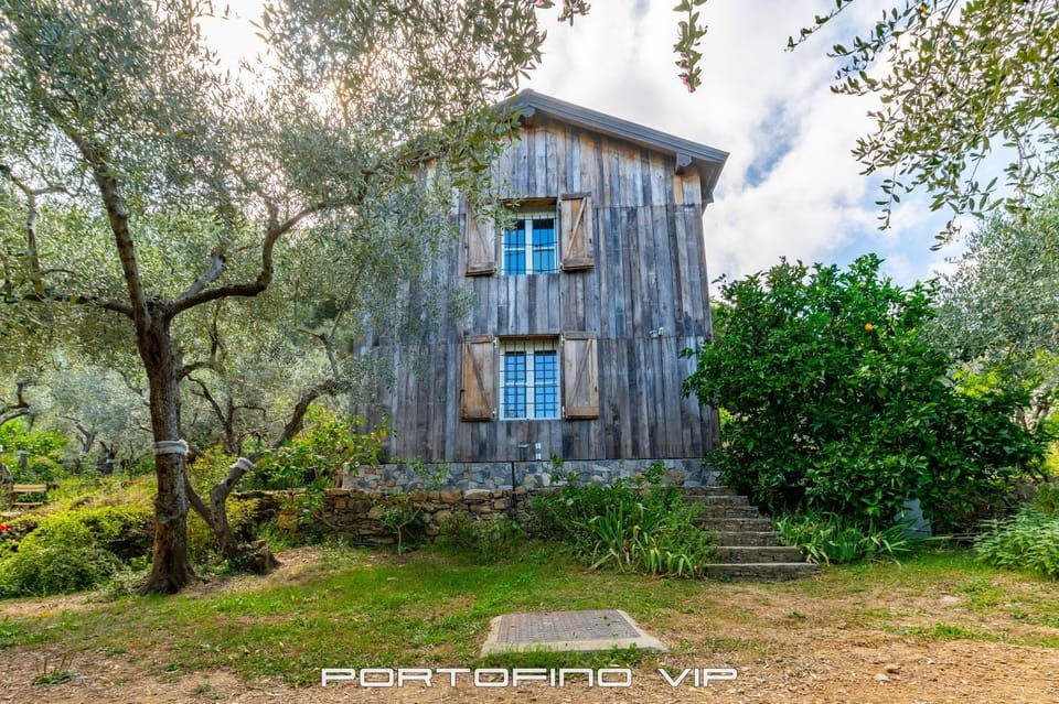 Property building, Natural landscape, Garden