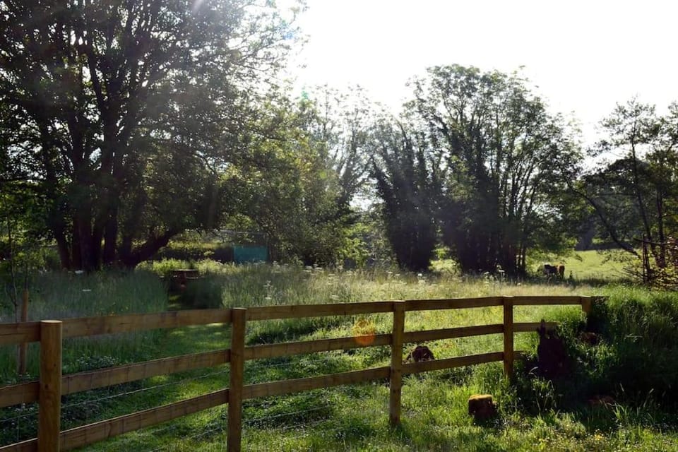 Natural landscape, Garden view
