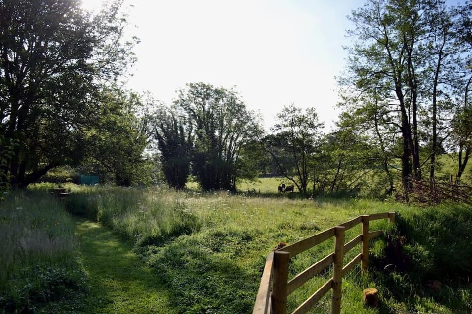 Natural landscape, Garden, Garden view