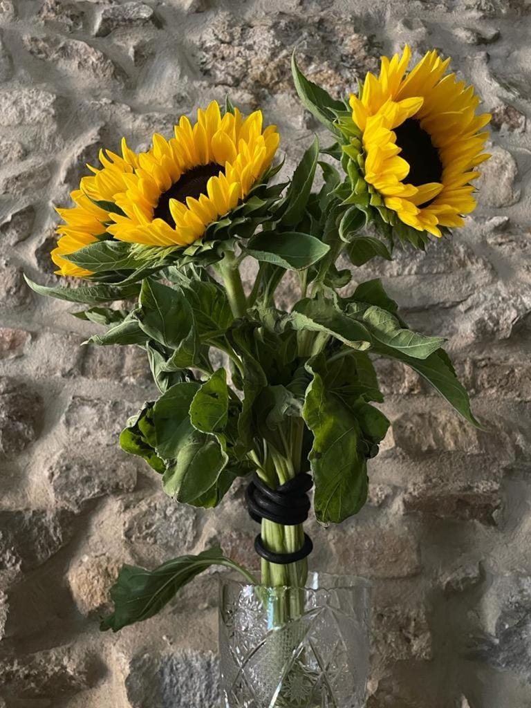 Torre dell’Angelo B&B Bed and Breakfast in Desenzano del Garda