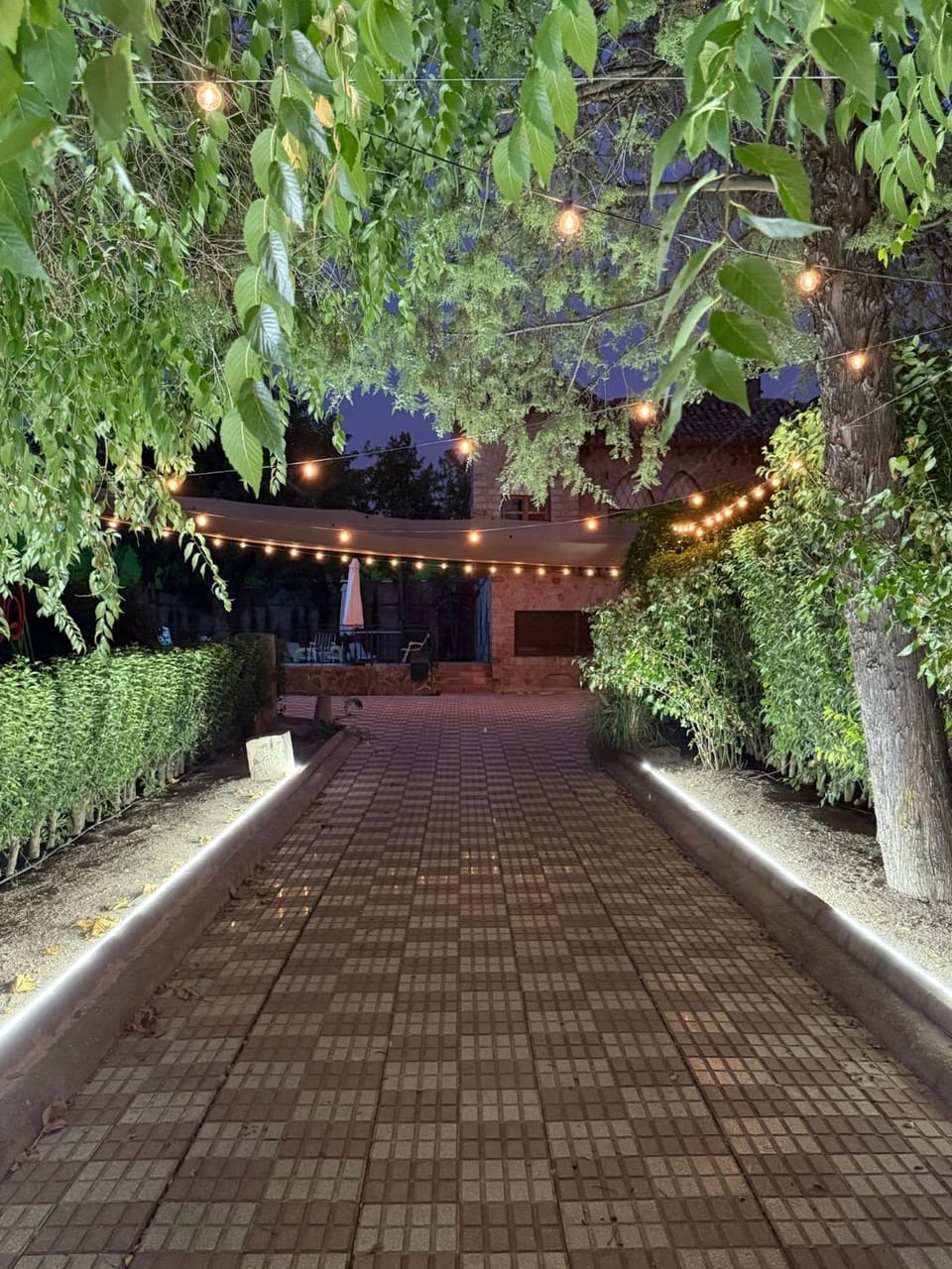 Patio, Natural landscape, Garden, Garden view
