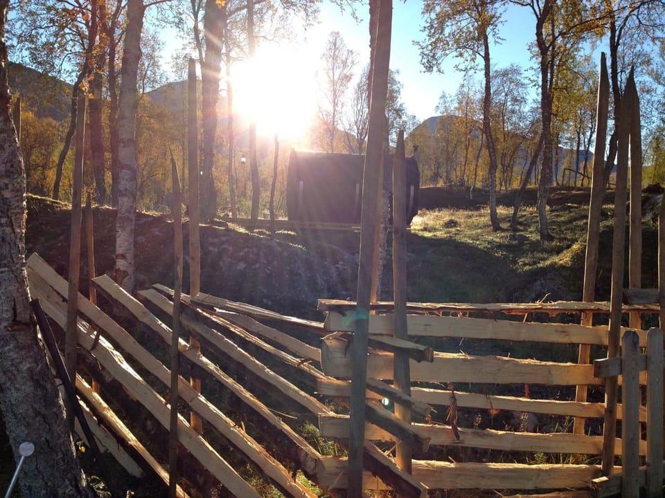 Property building, Sauna