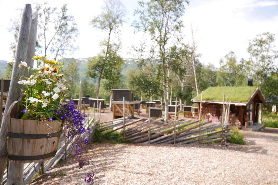Natural landscape, Garden