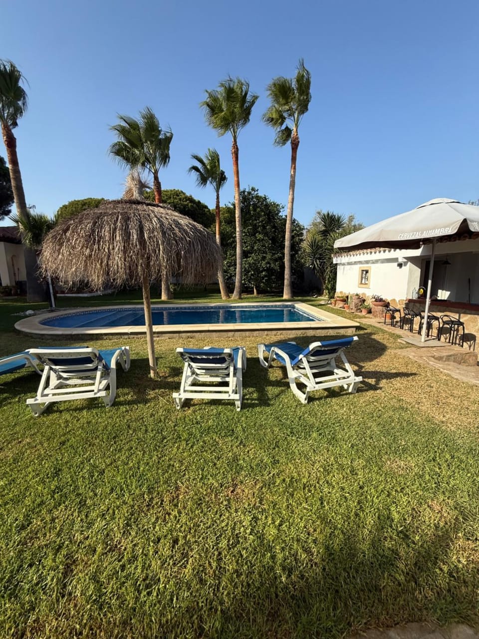 Garden, Pool view, Swimming pool, sunbed