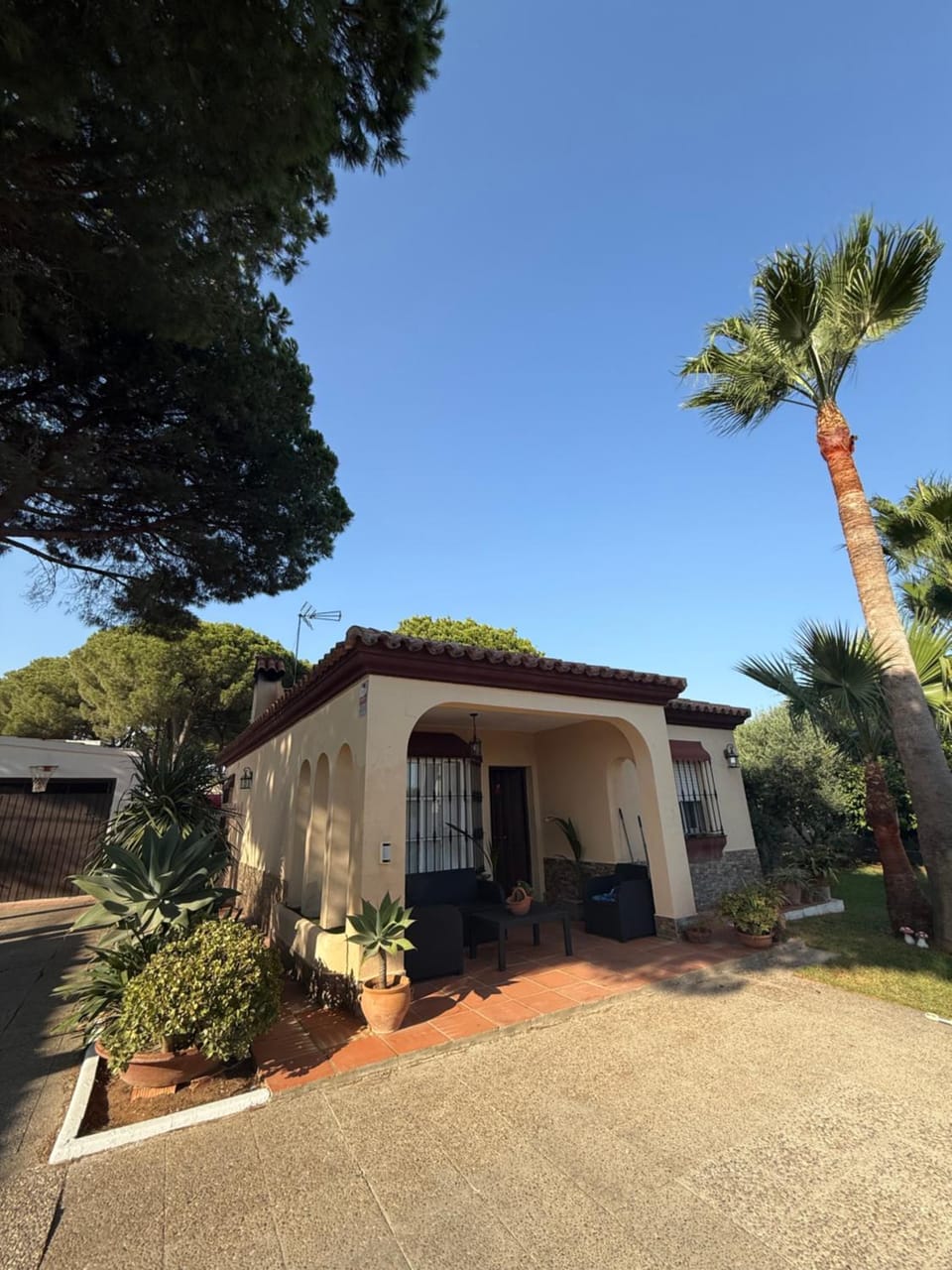 Property building, Garden view