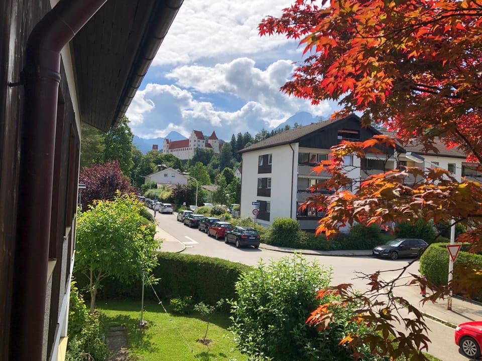 Garden, Balcony/Terrace