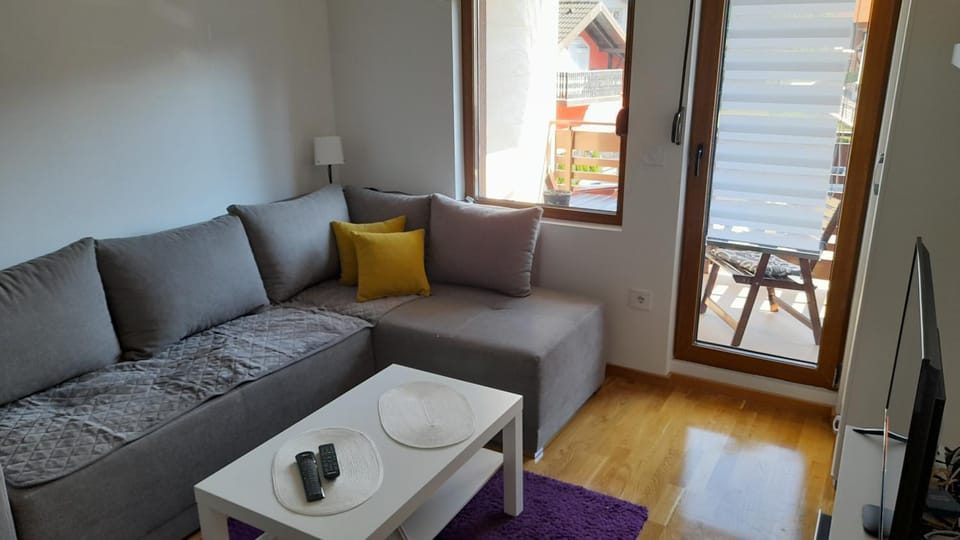 Zlatibor Jamiva smestaj Apartment in Zlatibor
