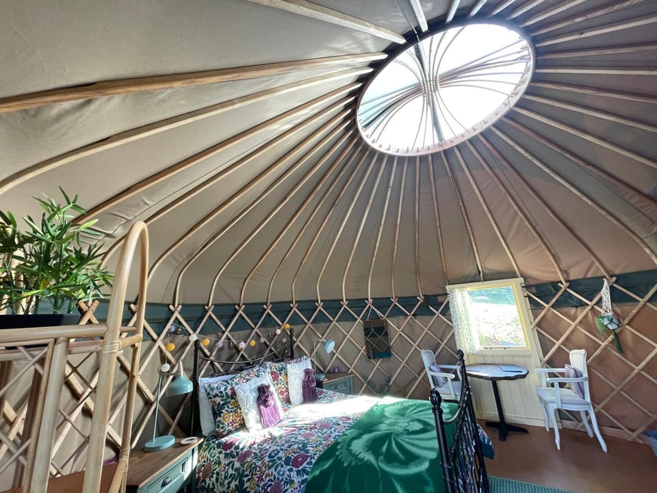 Bed, Living room, Dining area, Bedroom