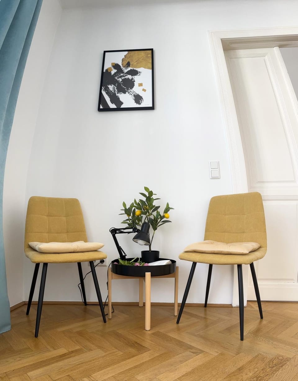 Central Mariahilfer Apartment 5 min to the Schönbrunn Palace and City shopping center Apartment in Vienna
