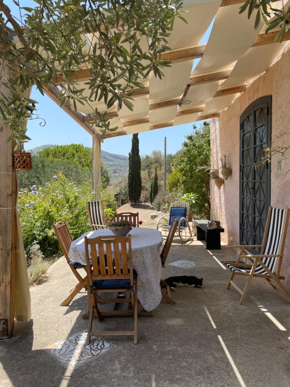Patio, Garden, Dining area