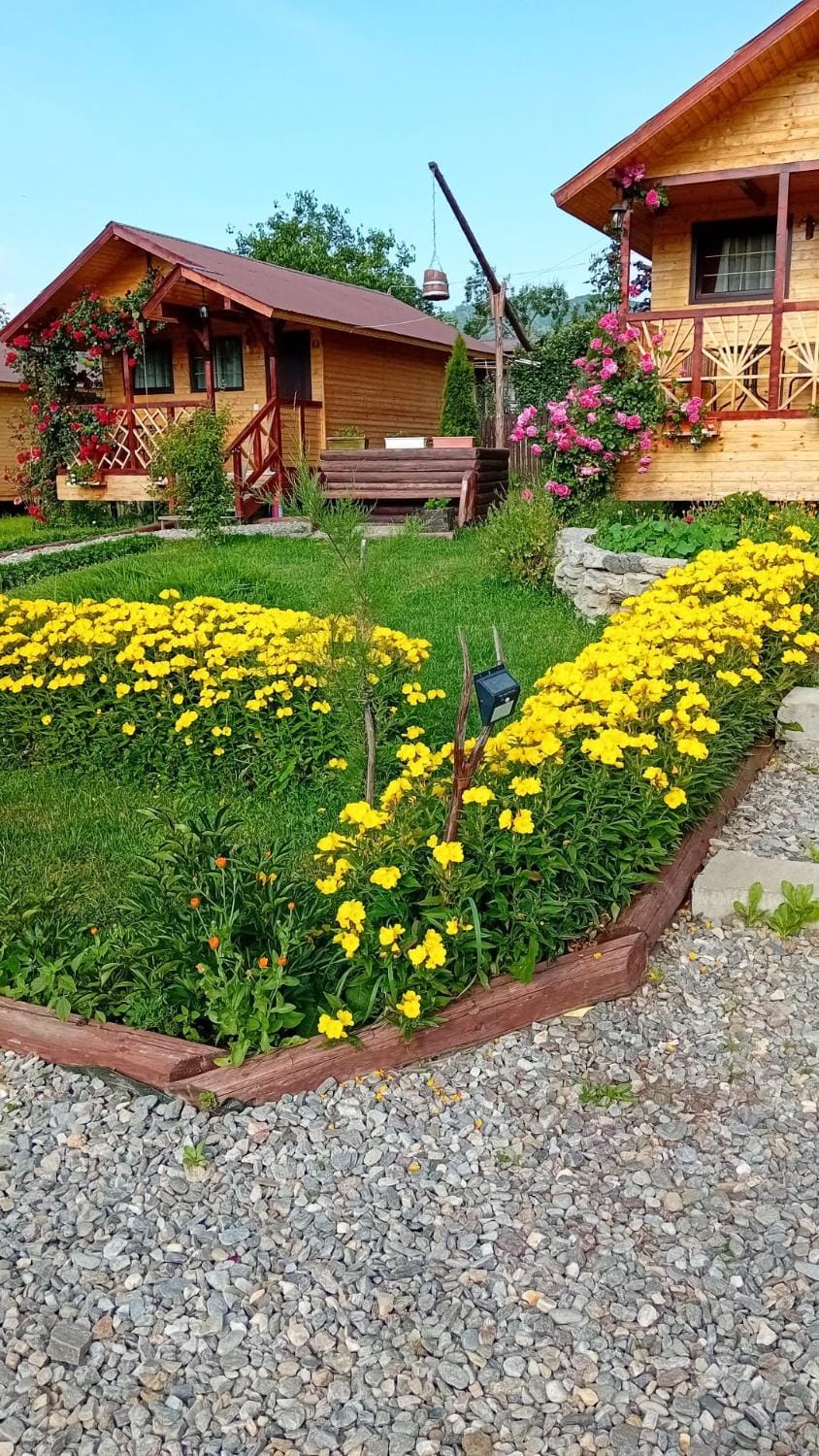 Baltina Parc Transfagarasan House in Romania