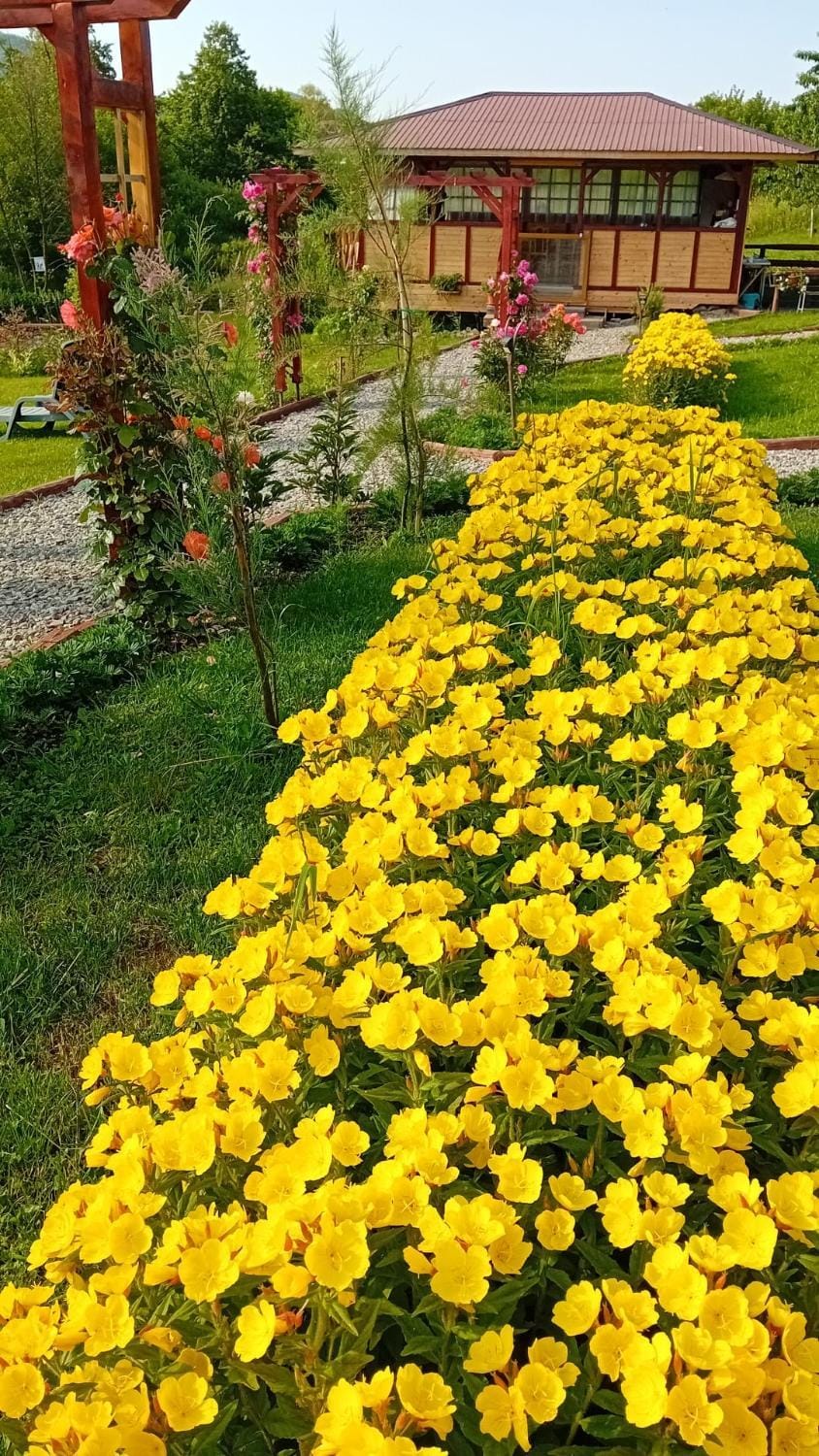 Baltina Parc Transfagarasan House in Romania