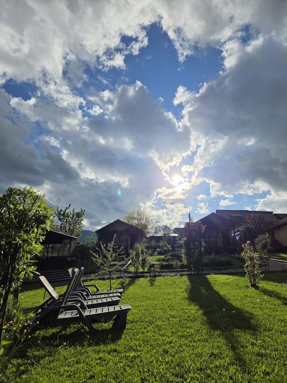 Natural landscape, Garden