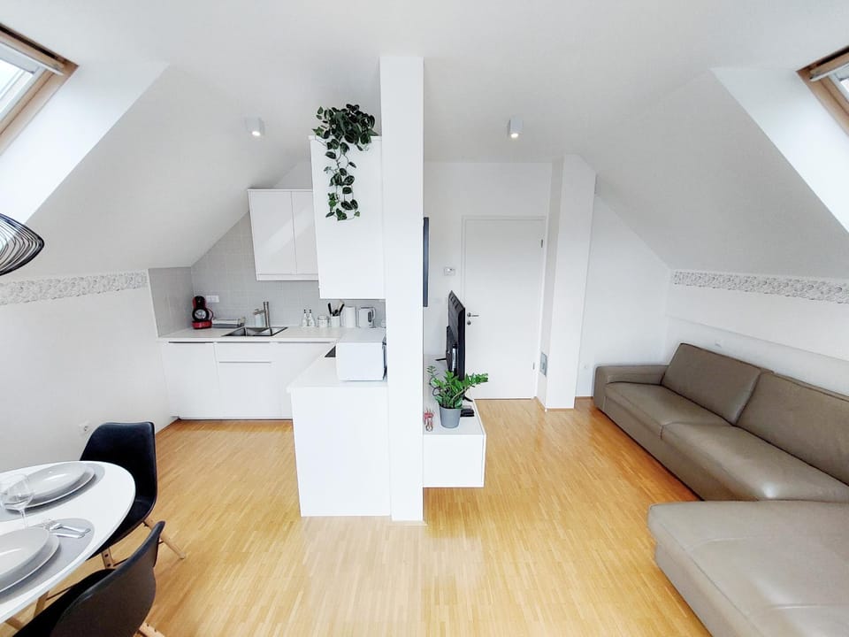 Kitchen or kitchenette, Living room, Dining area