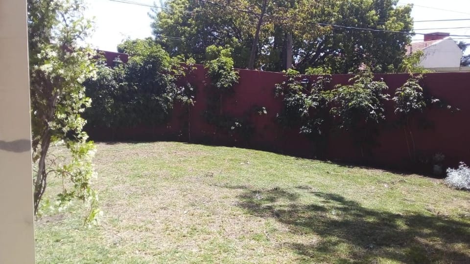 Natural landscape, Garden, Garden view