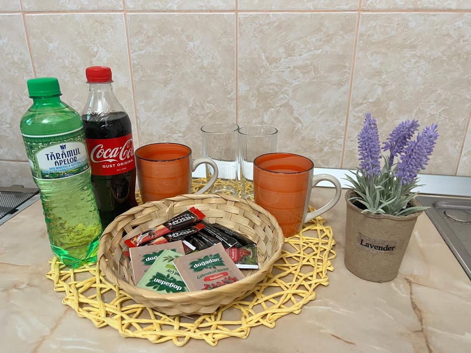 Miha modern and central apartament Malul Mureșului Apartment in Timiș County