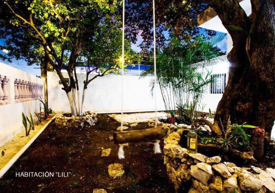 Patio, Garden