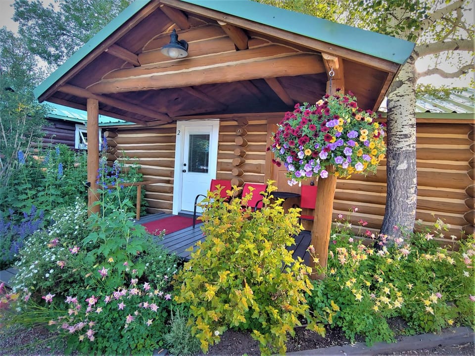 Property building, Patio, Garden view