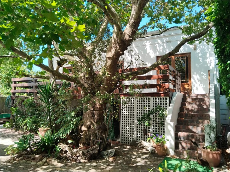 Restful Tree House in Little Mowbray House in Cape Town