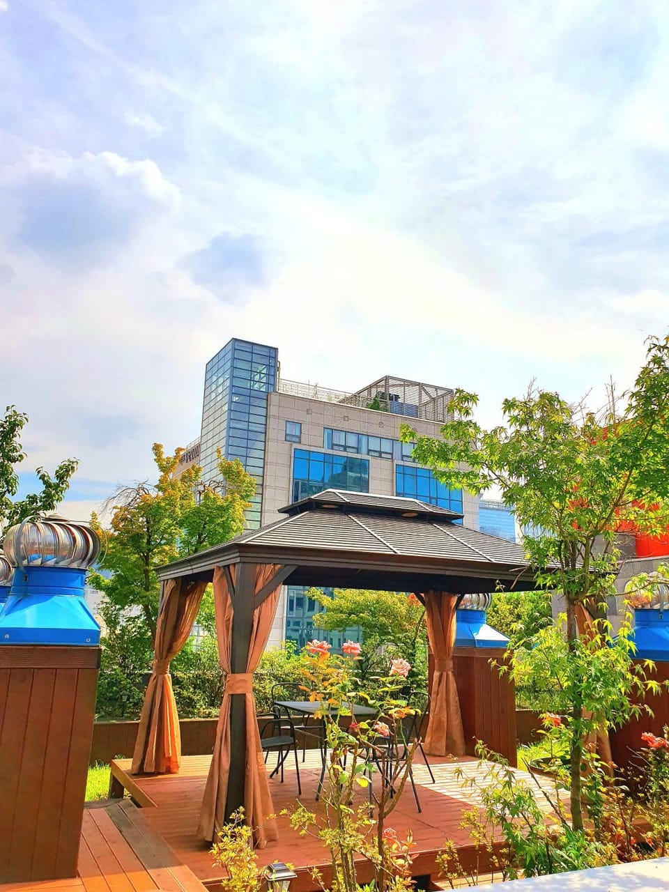 Garden, Garden, Seating area, Garden view